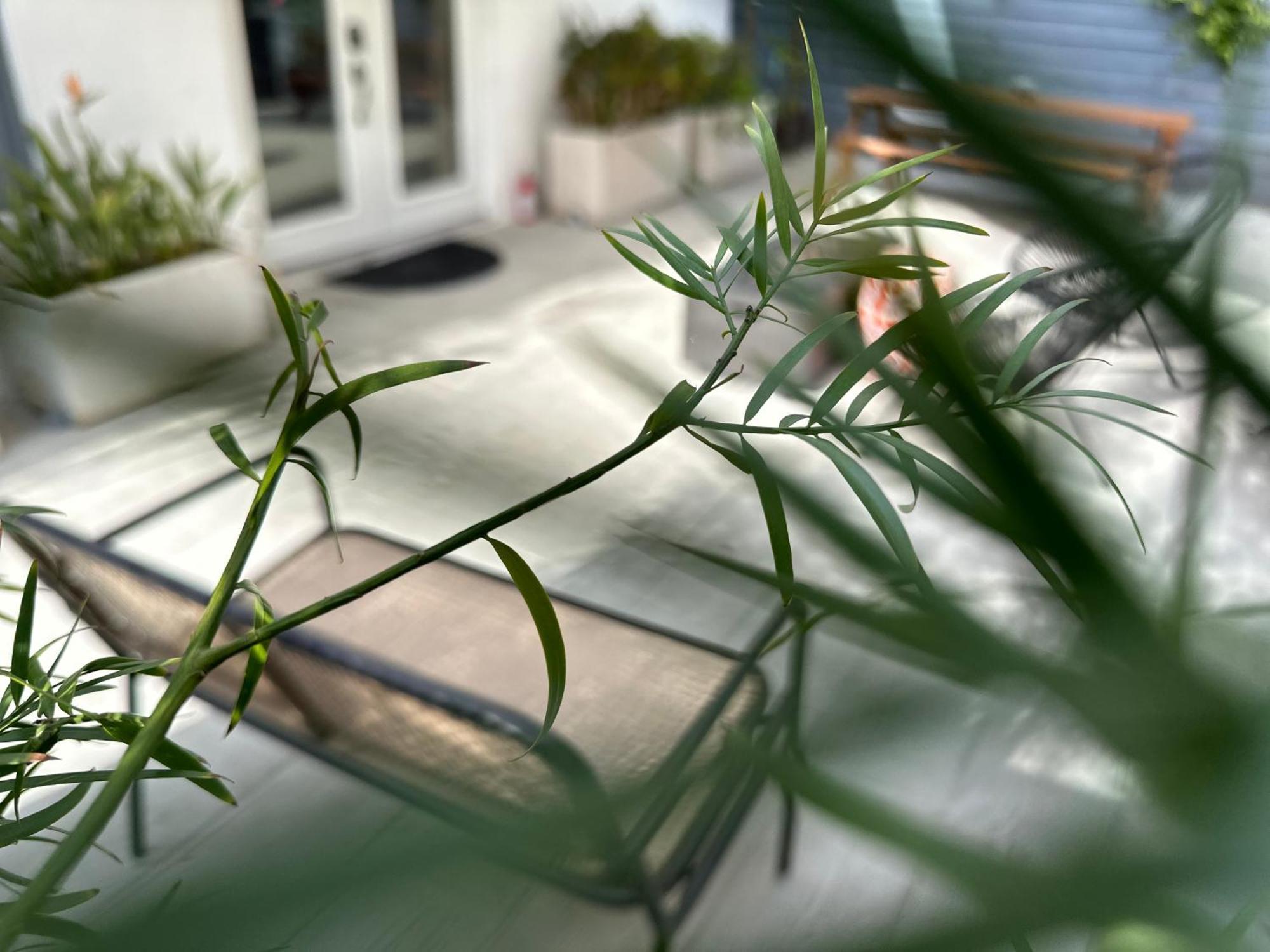Resort Getaway In Private Garden Terrace Villa W Luxury Amenities ลอสแอนเจลิส ภายนอก รูปภาพ